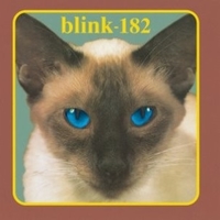 Sheshire cat - BLINK 182