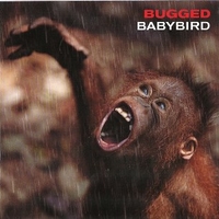 Bugged - BABYBIRD