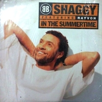 In the summertime - SHAGGY