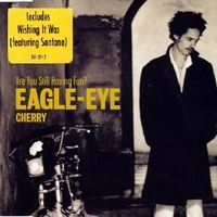 Are you still having fun? (4 tracks) - EAGLE-EYE CHERRY