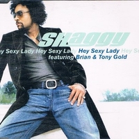 Hey sexy lady (3 tracks+1 video track) - SHAGGY