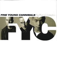 The platinum collection - FINE YOUNG CANNIBALS