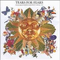 Tears roll down (greatest hits 82-92) - TEARS FOR FEARS