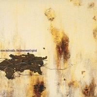 The downward spiral - NINE INCH NAILS