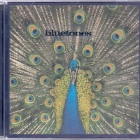 Expercting to fly - BLUETONES