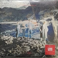 Silver (40th anniversary) (RSD black friday 2024) - ECHO & THE BUNNYMEN