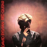 Red guitar - DAVID SYLVIAN