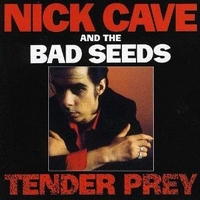 Tender prey - NICK CAVE